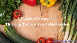 5 Essential Steps to a Thriving Terrace Vegetable Garden